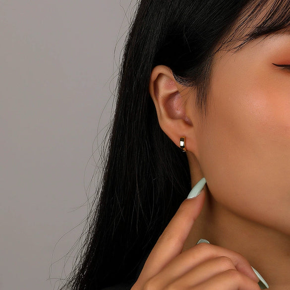 Wholesale 925 Sterling Silver Geometric Hoop Earrings For Women Electroplated Cold Style