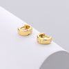 Wholesale 925 Sterling Silver Geometric Hoop Earrings For Women Electroplated Cold Style