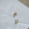Wholesale Stud Earrings Sterling Silver Fivepointed Star Pearl Inlaid For Women Cute Style