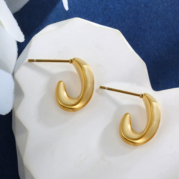 Wholesale Titanium Steel And Stainless Steel Earrings For Women Simple Style Electroplated