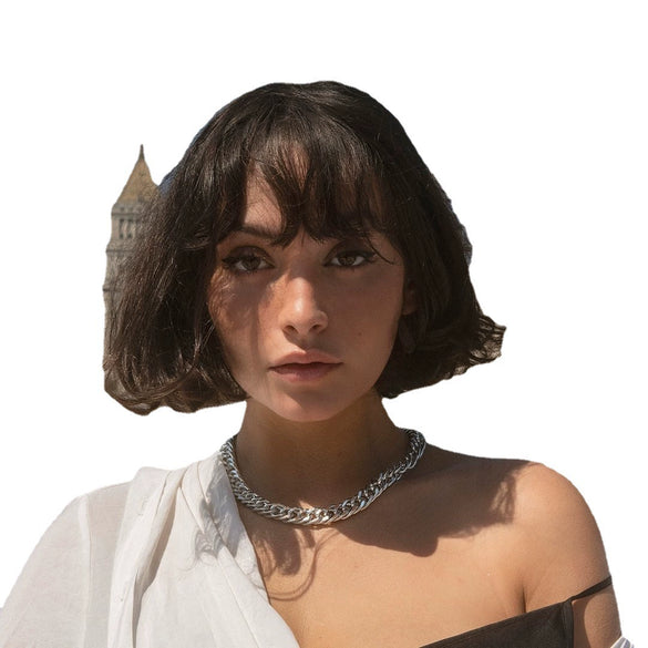 Wholesale Titanium Steel Cuban Hip Hop Geometric Punk Unisex Necklace With Electroplating And Snake Bone Chain