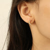 Wholesale 316L Stainless Steel Earrings Electroplated Inlaid Zircon Crescent Moon Fashion Style For Women