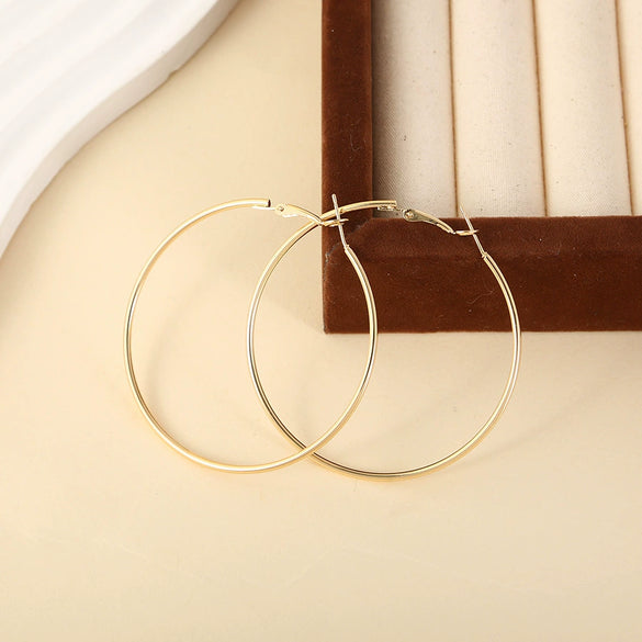 Wholesale Titanium Steel Electroplated Geometric Circle Earrings For Women