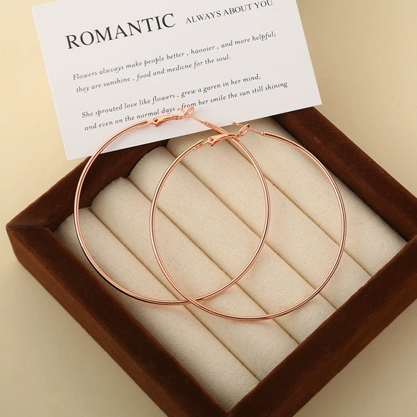 Wholesale Titanium Steel Electroplated Geometric Circle Earrings For Women
