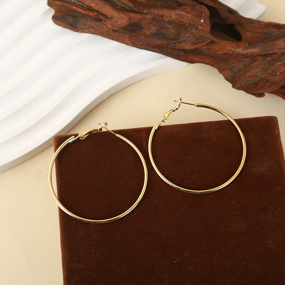 Wholesale Titanium Steel Electroplated Geometric Circle Earrings For Women