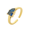 Wholesale Titanium Steel Electroplated Geometric Retro Unisex December Birthstone Ring With Color Preservation