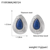 Wholesale 316L Stainless Steel Electroplated Niche Style Geometric Drop Shaped Earrings For Women