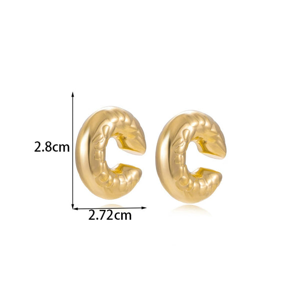 Wholesale Titanium Steel Geometric Cshaped Rectangular Electroplated Metal Earrings For Women