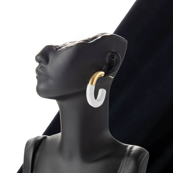 Wholesale Titanium Steel Geometric Earrings Electroplated Sweet Style