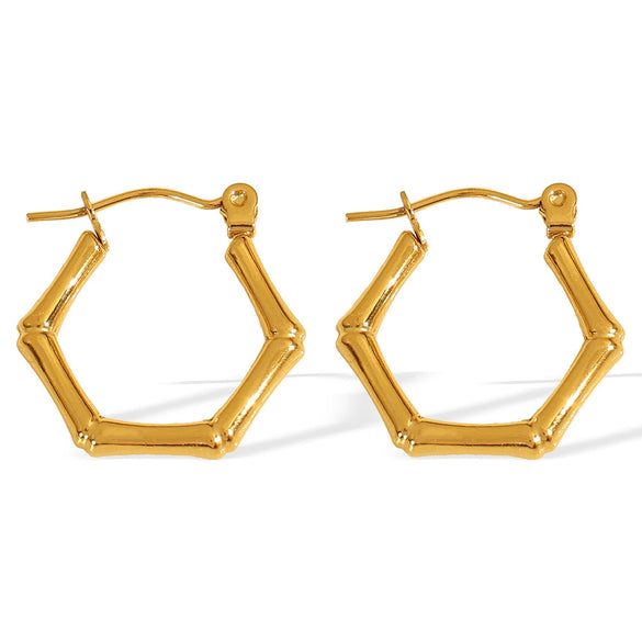 Wholesale 316L Stainless Steel Geometric Fashion Electroplated Women's Earrings