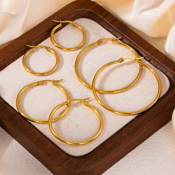 Wholesale Titanium Steel Geometric Hoop Earrings With Electroplating Unisex Highend And Fashionable