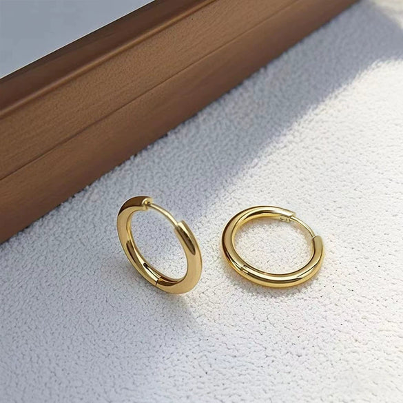 Wholesale Titanium Steel Geometric Style Women's Classic Earrings With Polishing Treatment