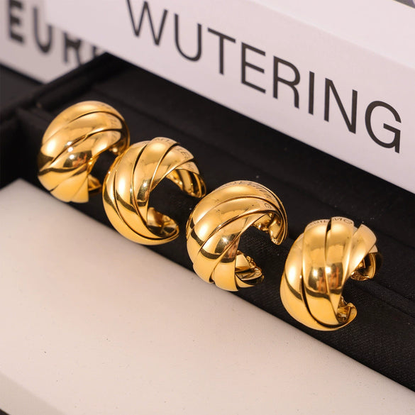 Wholesale 316L Stainless Steel Geometric Ushape Electroplated Women's Earrings