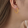 Wholesale Titanium Steel Geometric Ushaped Nonfading Earrings With Electroplating For Women