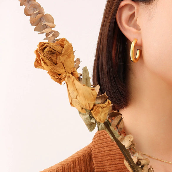 Wholesale Titanium Steel Geometric Ushaped Retro Modern Exaggerated Fadefree Electroplated Women's Earrings