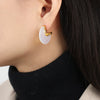 Wholesale Titanium Steel Goldplated Women's Midancient Style Irregular Geometric Resin Earrings Jewelry