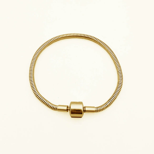 Wholesale Titanium Steel Polished Leaves Pattern Snake Bone Bracelet