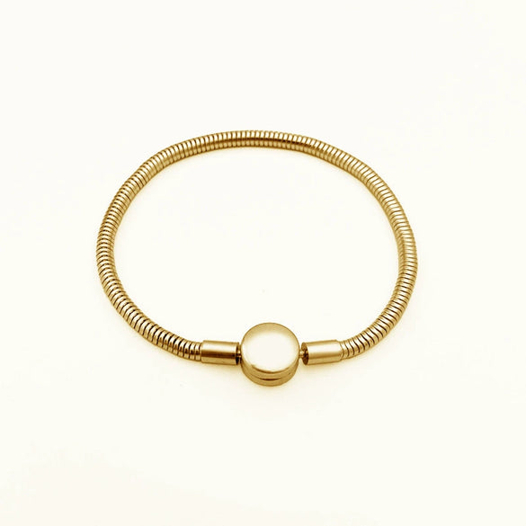 Wholesale Titanium Steel Polished Leaves Pattern Snake Bone Bracelet