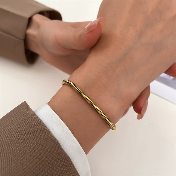 Wholesale Titanium Steel Snakeshaped Bracelet With Animal Pattern And Electroplating For Women In Ins Style
