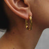 Wholesale Titanium Steel Ushaped Electroplated Earrings Unisex
