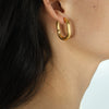 Wholesale 316L Stainless Steel Ushaped Electroplated Women's Light Luxury Earrings