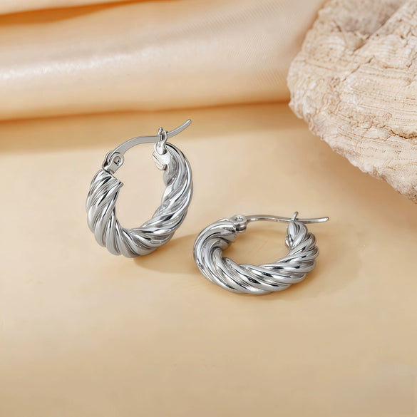 Wholesale Titanium Steel Women's Geometric Earrings Fashion Elegant Stereo Highend Polish Style
