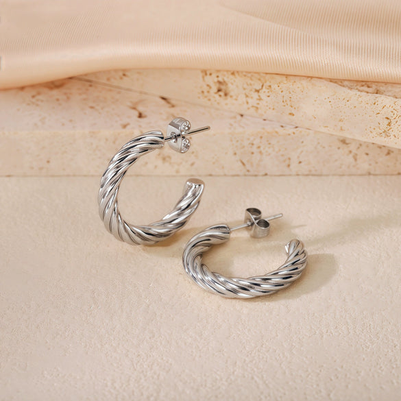 Wholesale Titanium Steel Women's Geometric Earrings Fashion Elegant Stereo Highend Polish Style