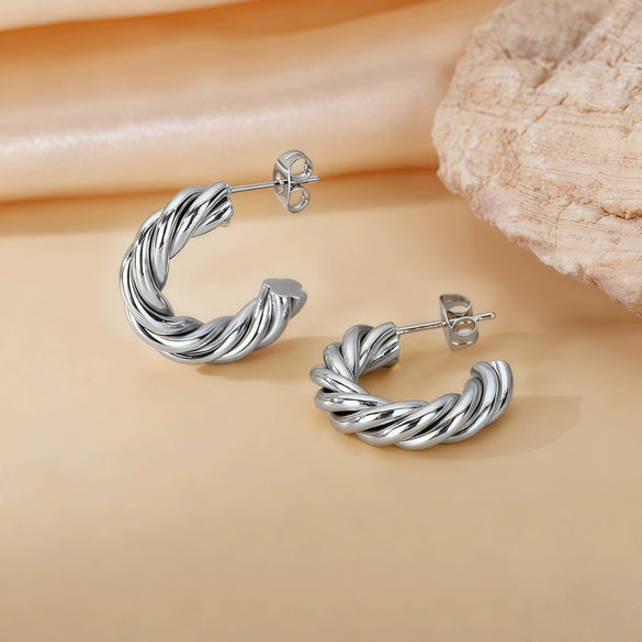 Wholesale Titanium Steel Women's Geometric Earrings Fashion Elegant Stereo Highend Polish Style