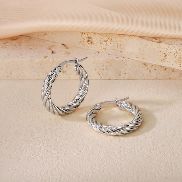 Wholesale Titanium Steel Women's Geometric Earrings Fashion Elegant Stereo Highend Polish Style