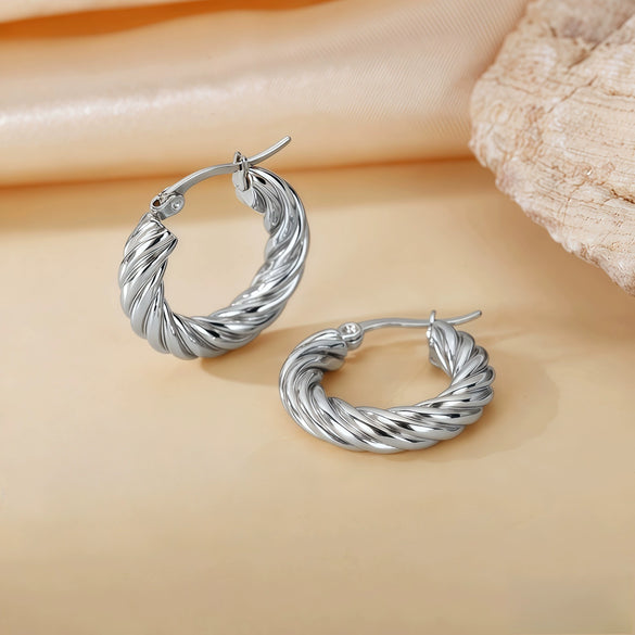 Wholesale Titanium Steel Women's Geometric Earrings Fashion Elegant Stereo Highend Polish Style