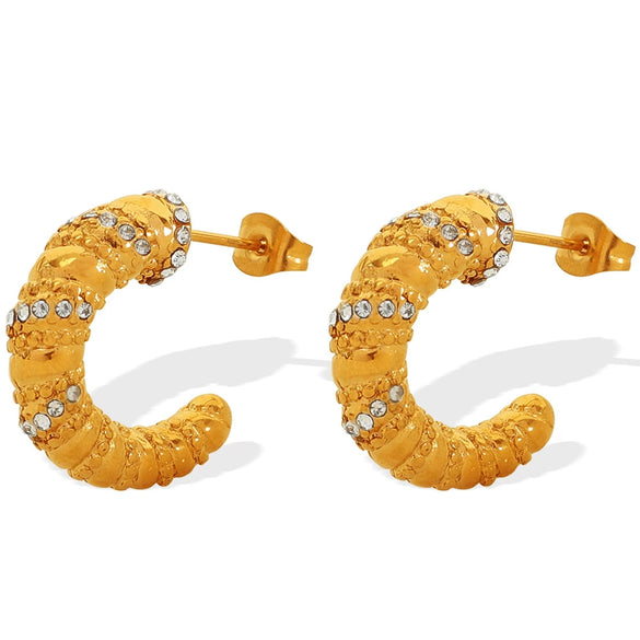 Wholesale 316L Stainless Steel Women's Jewelry Electroplated C Type Hemp Pattern Diamond Earrings
