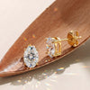 Wholesale Titanium Steel Zircon Geometric Electroplated Unisex Earrings Minimalist Ear Accessories