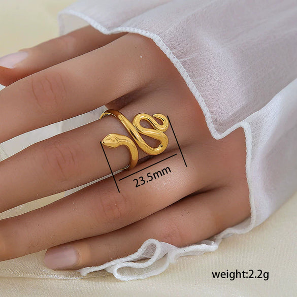 Wholesale Unisex Geometric Titanium Steel Electroplated Ring