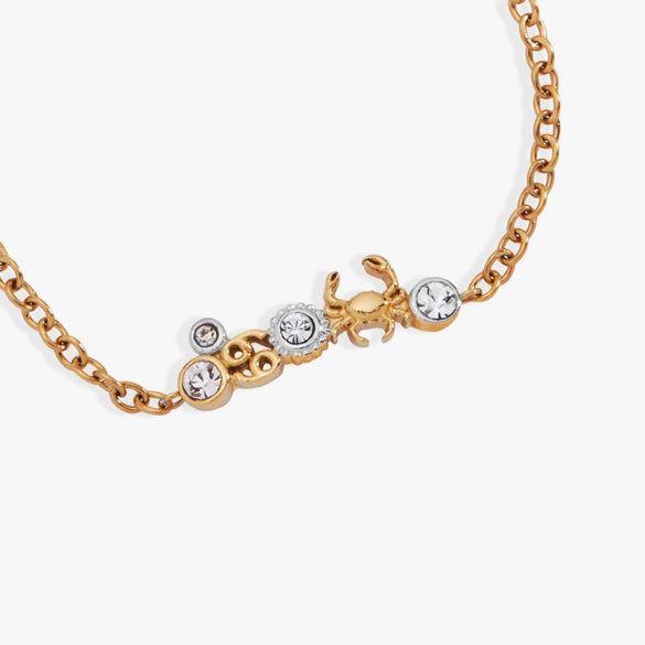 Wholesale Unisex Heart Shape Twelve Zodiac Sign Pendant Necklace With Stainless Steel And Copper Electroplated