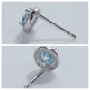 Wholesale Unisex S925 Sterling Silver Geometric Zircon Birthstone Earrings