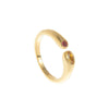 Wholesale Unisex Vintage Geometric Titanium Steel Ring With 18K Real Gold Electroplating