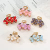 Wholesale Women's Alloy Electroplated Plants And Flowers Style Hair Clip