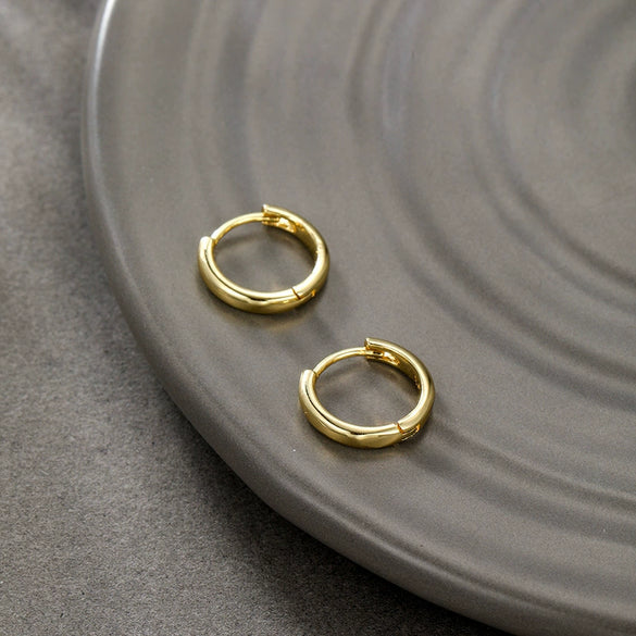 Wholesale Women's Alloy Geometric Hoop Earrings With Electroplating