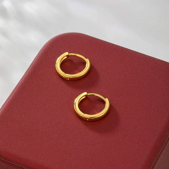 Wholesale Women's Alloy Geometric Hoop Earrings With Electroplating