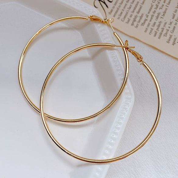 Wholesale Women's Alloy Geometric Hoop Earrings With 925 Silver Needle And Electroplating