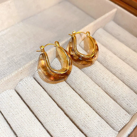 Wholesale Women's Alloy Geometric Maillard Style Earrings With Silver Needle And Electroplating