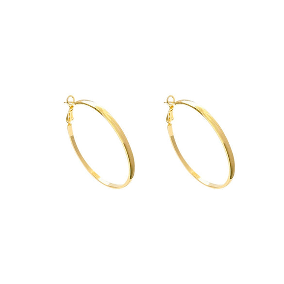 Wholesale Women's Alloy Geometric Round Plain Hoop Earrings With Electroplating