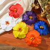 Wholesale Women's Bohemian Style Cloth Handmade Phalaenopsis Flower Duckbill Clip Hair Accessories