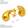 Wholesale Women's Casual Minimalist Geometric Drop Shape Stainless Steel Electroplated Earrings