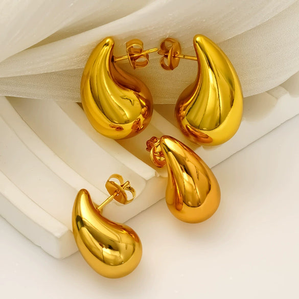 Wholesale Women's Casual Minimalist Geometric Drop Shape Stainless Steel Electroplated Earrings