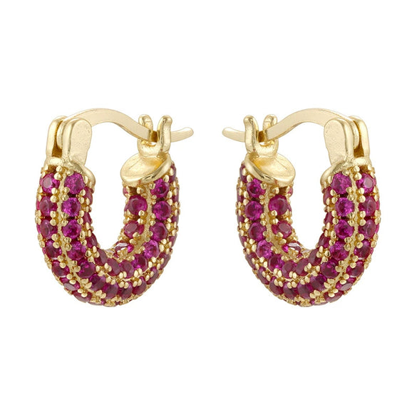 Wholesale Women's Copper Inlaid Zircon Ushaped Geometric Earrings Light Luxury Style