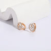 Wholesale Women's Copper Zircon Geometric Animal Pattern Electroplated Earrings