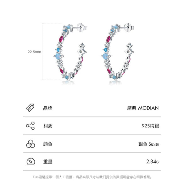 Wholesale Women's Elegant Geometric S925 Sterling Silver Zircon Earrings