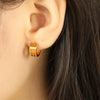 Wholesale Women's Exaggerated Geometric 316L Stainless Steel Earrings With Electroplating