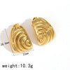 Wholesale Women's Fashion Geometric Stainless Steel Electroplated Earrings